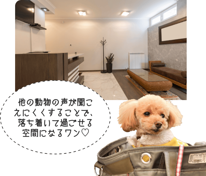 他の動物の声が聞こえにくくすることで、落ち着いて過ごせる空間になるワン♡