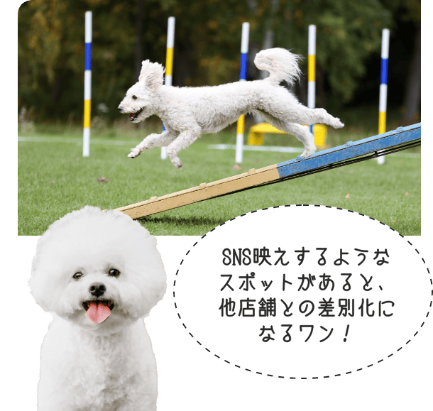 SNS映えするようなスポットがあると、他店舗との差別化になるワン！